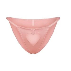 SKIMS Novelty Intimates Tulle Heart Silk Bikini Panty Ballet Pink XS